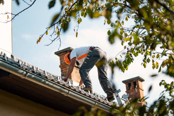 Best Roof Leak Repair  in Lyons, GA