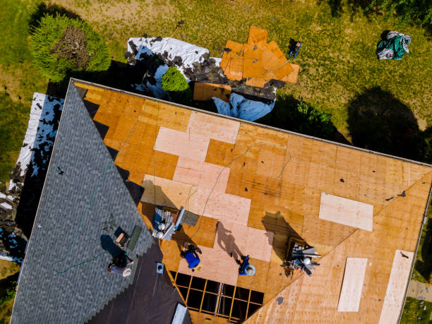 Best Gutter Installation and Roofing  in Lyons, GA
