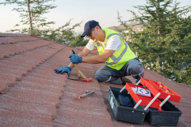 Best Storm Damage Roof Repair  in Lyons, GA