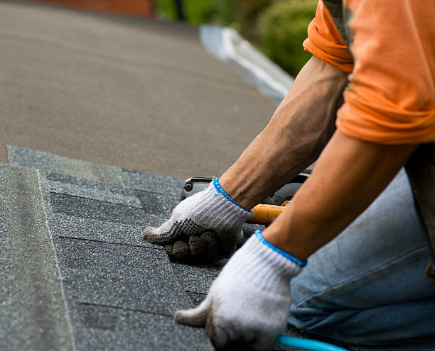 Best Roof Gutter Cleaning  in Lyons, GA