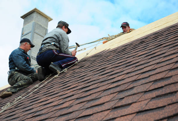 Best Local Roofing Companies  in Lyons, GA