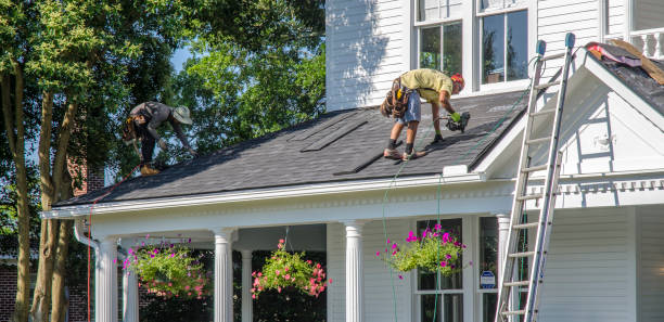 Best Roof Gutter Cleaning  in Lyons, GA