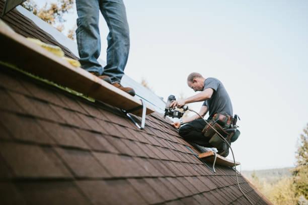 Best Emergency Roof Repair  in Lyons, GA